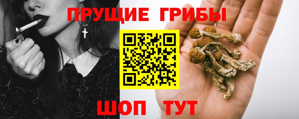 Галлюциногенные грибы Cubensis  Галлюциногенные грибы Psilocybe  Воткинск  где купить наркоту  Вход с VPN 